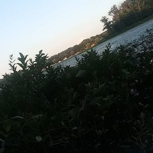 Meet your Posher, Hunter